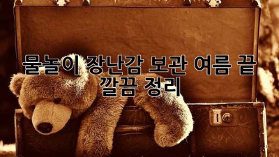 물놀이 장난감 보관: 여름 끝, 깔끔 정리!